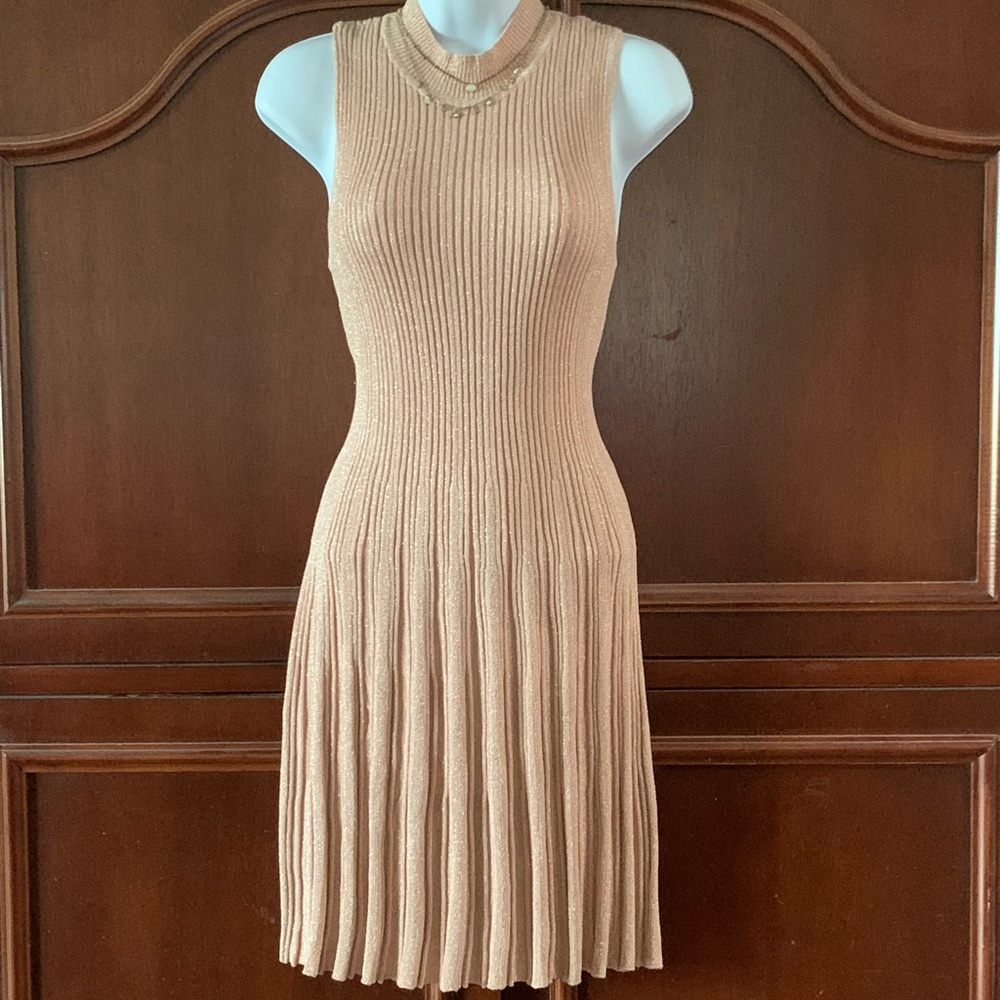 Pink and Gold Dress